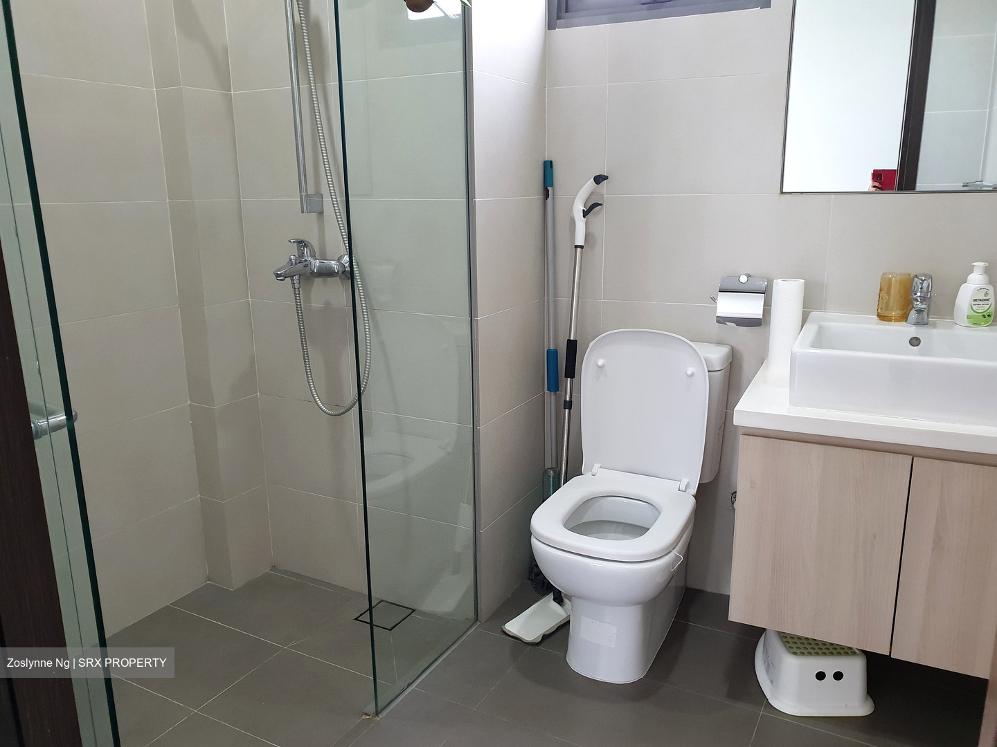 Harbour Suites (D4), Apartment #514089181